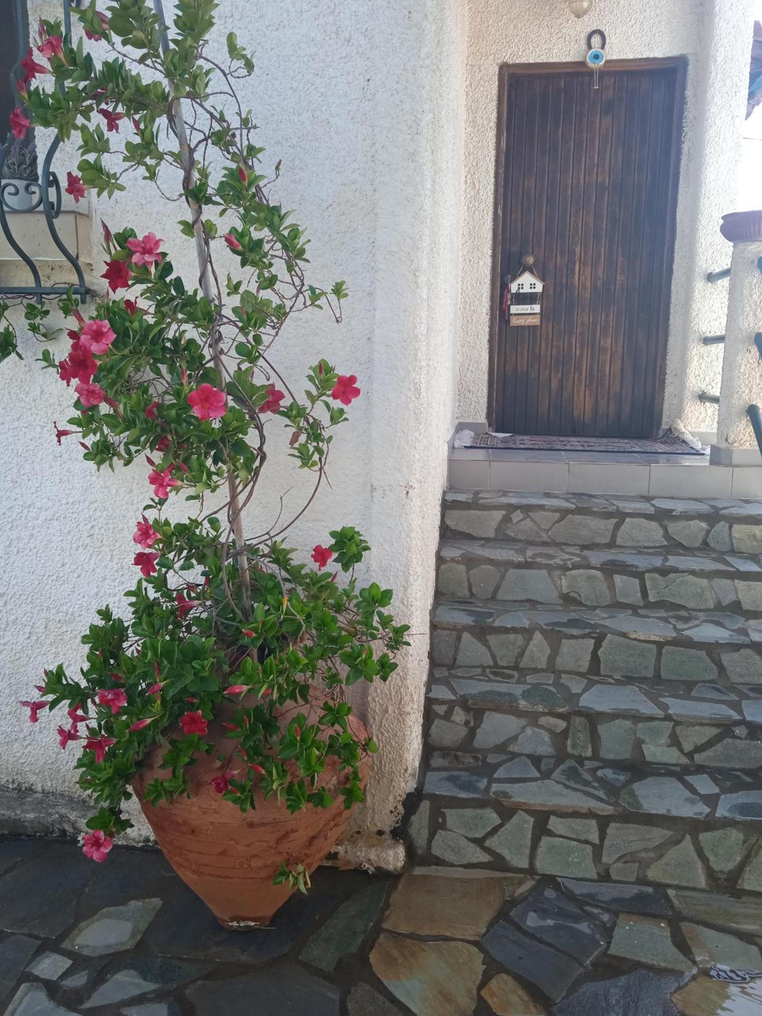 Smaragda's Hébergement de vacances